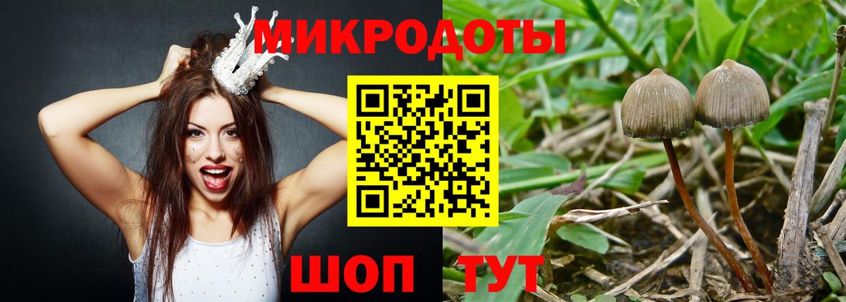 Павловский Посад  Псилоцибиновые грибы ЛСД  Галлюциногенные грибы Cubensis  цена наркотик  Вход с VPN 